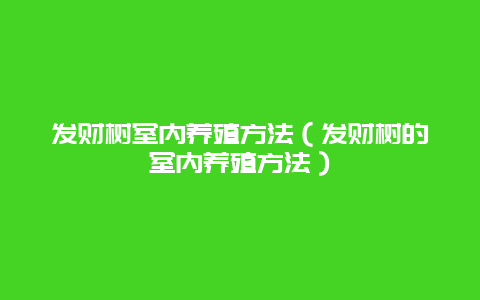 发财树室内养殖方法（发财树的室内养殖方法）