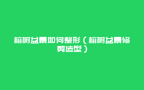 榕树盆景如何整形（榕树盆景修剪造型）