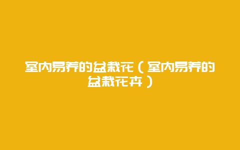 室内易养的盆栽花（室内易养的盆栽花卉）