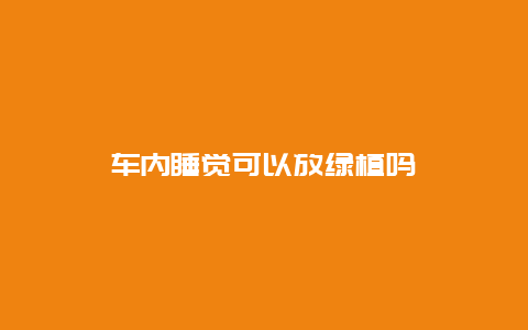 车内睡觉可以放绿植吗