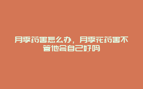 月季药害怎么办，月季花药害不管他会自己好吗