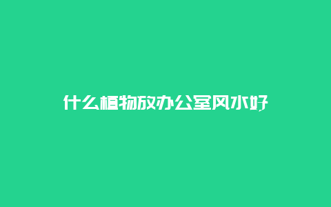 什么植物放办公室风水好