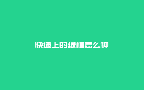 快递上的绿植怎么种