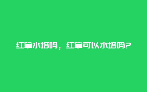 红掌水培吗，红掌可以水培吗?