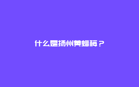 什么是扬州黄蜡梅？