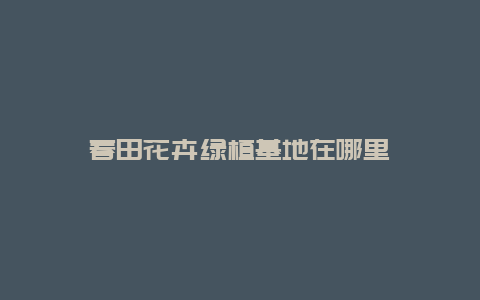 春田花卉绿植基地在哪里