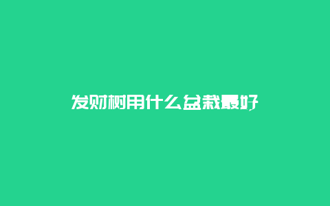 发财树用什么盆栽最好