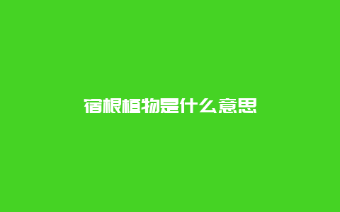 宿根植物是什么意思