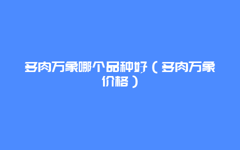 多肉万象哪个品种好（多肉万象价格）