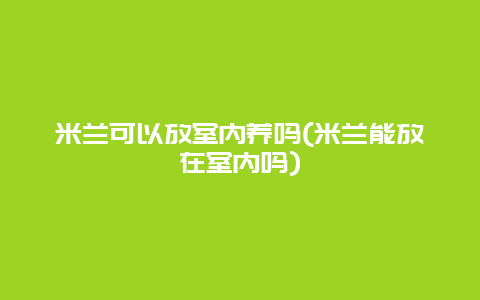 米兰可以放室内养吗(米兰能放在室内吗)