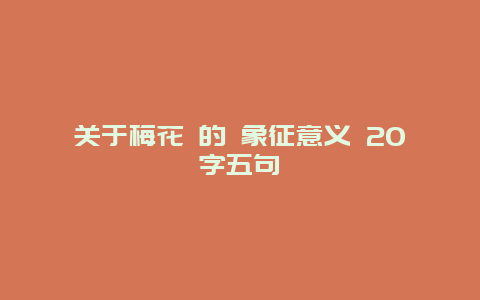 关于梅花 的 象征意义 20字五句