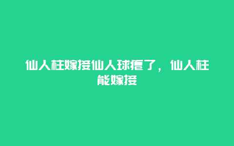 仙人柱嫁接仙人球瘪了，仙人柱能嫁接