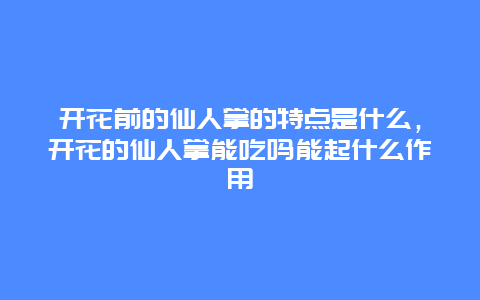 开花前的仙人掌的特点是什么，开花的仙人掌能吃吗能起什么作用