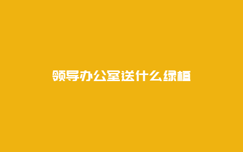 领导办公室送什么绿植