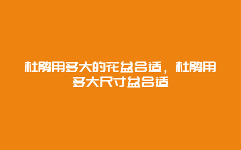 杜鹃用多大的花盆合适，杜鹃用多大尺寸盆合适