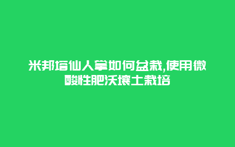 米邦塔仙人掌如何盆栽,使用微酸性肥沃壤土栽培