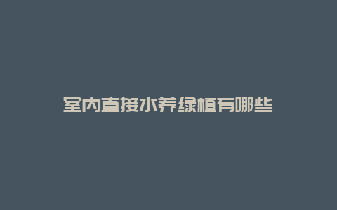 室内直接水养绿植有哪些