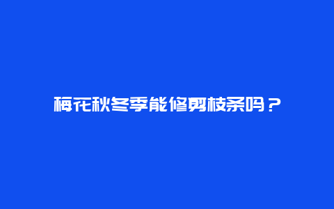 梅花秋冬季能修剪枝条吗？