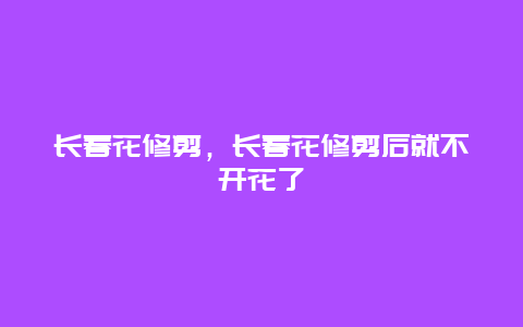 长春花修剪，长春花修剪后就不开花了