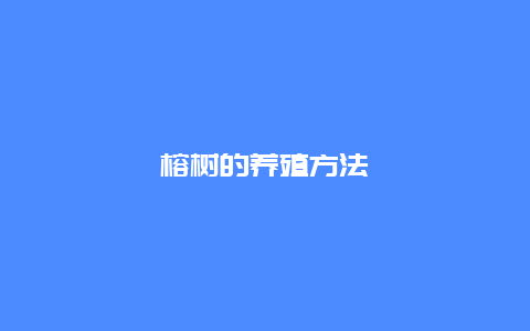 榕树的养殖方法