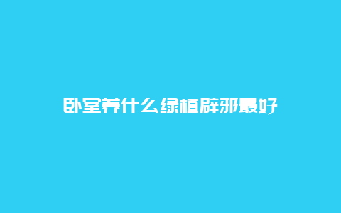 卧室养什么绿植辟邪最好