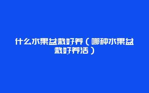 什么水果盆栽好养（哪种水果盆栽好养活）