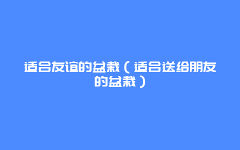 适合友谊的盆栽（适合送给朋友的盆栽）