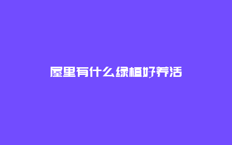 屋里有什么绿植好养活