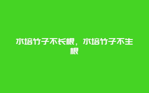 水培竹子不长根，水培竹子不生根