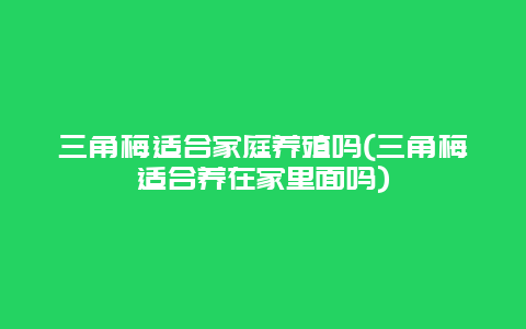 三角梅适合家庭养殖吗(三角梅适合养在家里面吗)