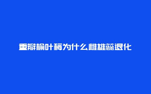 重瓣榆叶梅为什么雌雄蕊退化