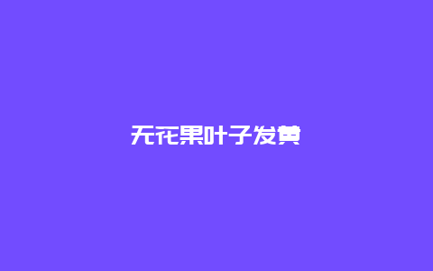 无花果叶子发黄