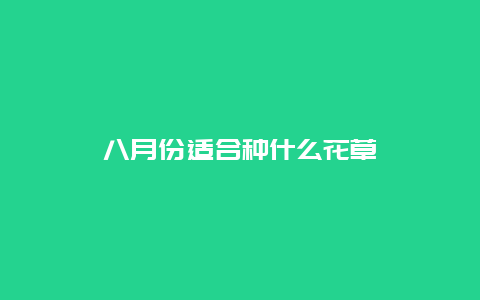 八月份适合种什么花草