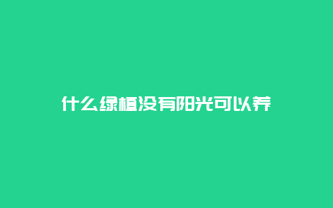 什么绿植没有阳光可以养