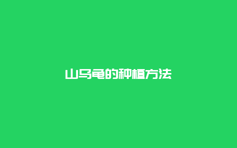 山乌龟的种植方法