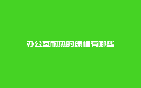 办公室耐热的绿植有哪些