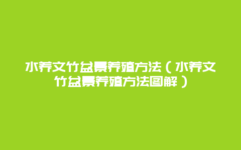 水养文竹盆景养殖方法（水养文竹盆景养殖方法图解）