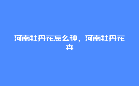 河南牡丹花怎么种，河南牡丹花卉