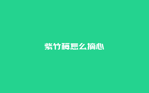 紫竹梅怎么摘心