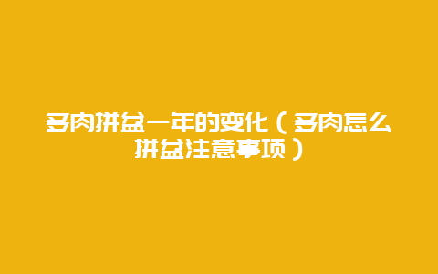 多肉拼盆一年的变化（多肉怎么拼盆注意事项）