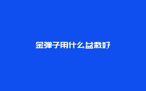 金弹子用什么盆栽好