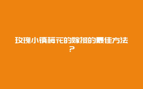 玫瑰小镇梅花的嫁接的最佳方法？