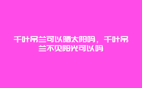 千叶吊兰可以晒太阳吗，千叶吊兰不见阳光可以吗