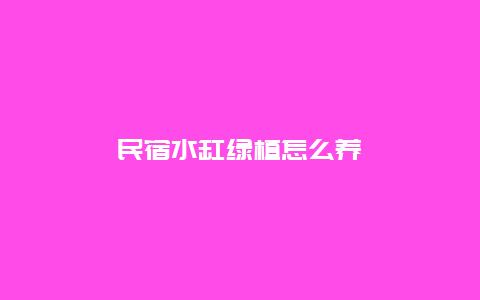 民宿水缸绿植怎么养