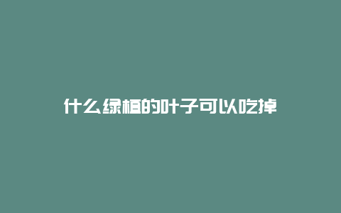 什么绿植的叶子可以吃掉