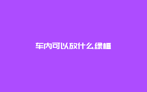 车内可以放什么绿植