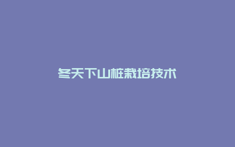 冬天下山桩栽培技术