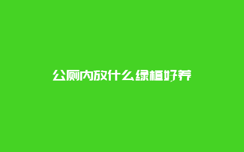 公厕内放什么绿植好养