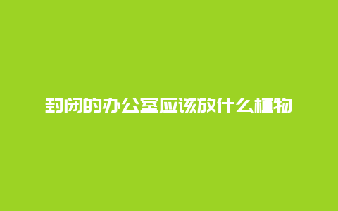 封闭的办公室应该放什么植物