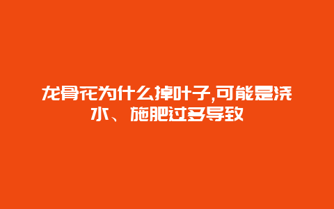 龙骨花为什么掉叶子,可能是浇水、施肥过多导致